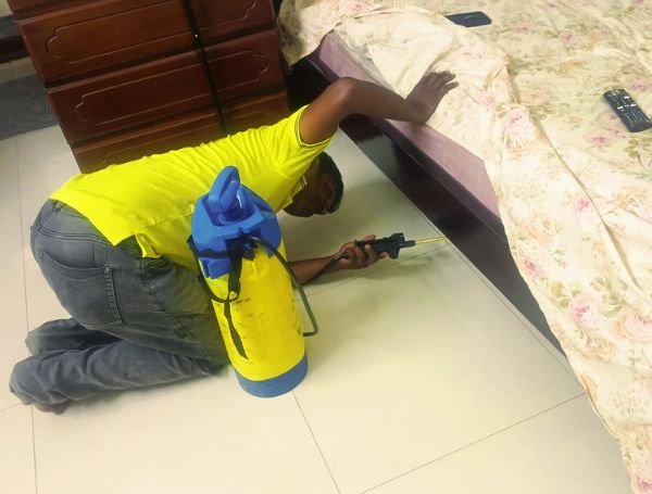 Pest Control
